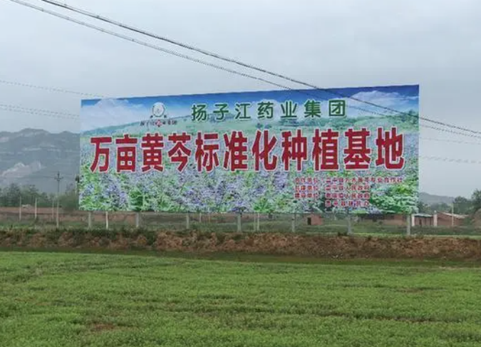 快盈500：彰显药企责任担当 掌握精准扶贫“金钥匙”